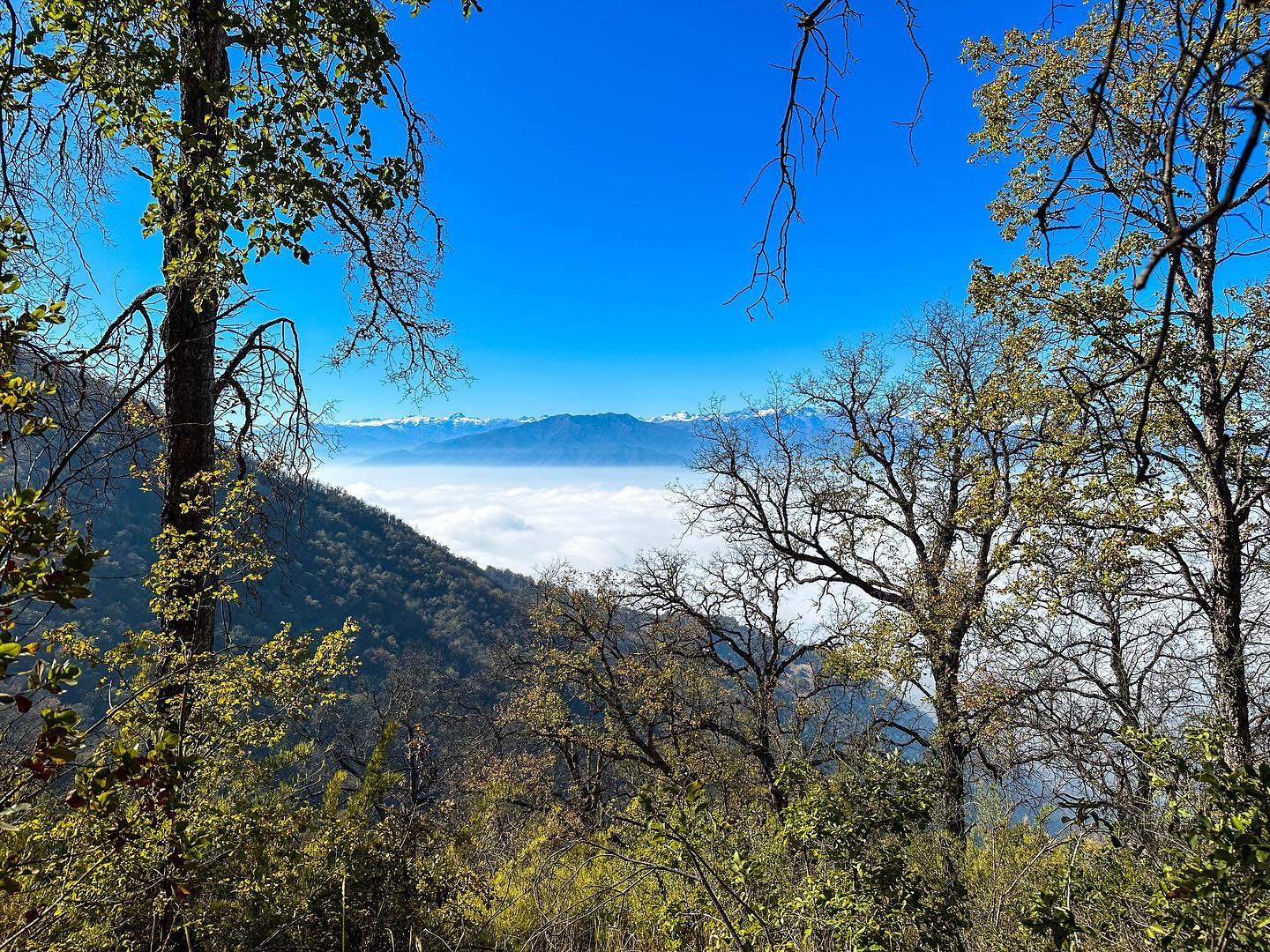 cerro pangalillo cerro-pangalillo